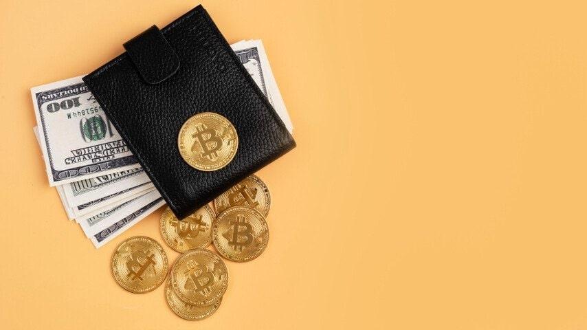 Situs Bonanza Wallet: Tempat Terbaik untuk Menyimpan Kripto Anda