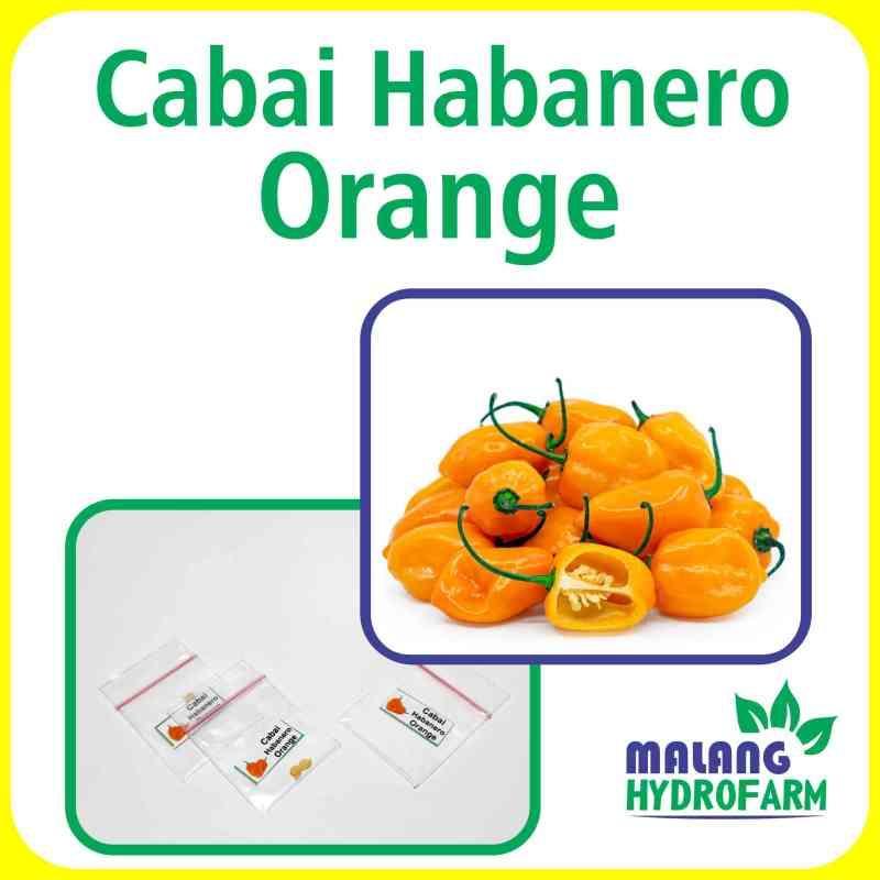 Bandar Habanero Terbaik di Indonesia: Pilihan Terbaik untuk Sensasi Pedas